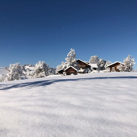 Ferienwohnung Aigisblick Mit Pool Und Sauna, Direkt Am Skihang Missen-Wilhams Exteriör bild