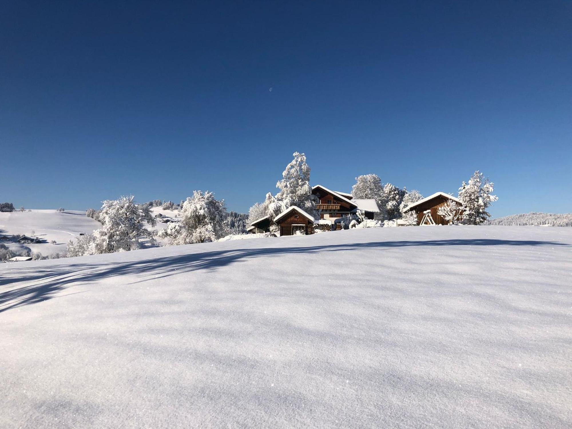 Ferienwohnung Aigisblick Mit Pool Und Sauna, Direkt Am Skihang Missen-Wilhams Exteriör bild